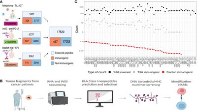 IMPROVE: a feature model to predict neoepitope immunogenicity through broad-scale validation of T-cell recognition